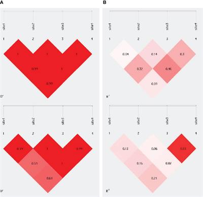 Correlation of ERCC5 polymorphisms and linkage disequilibrium associated with overall survival and clinical outcome to chemotherapy in breast cancer